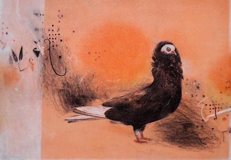 watercolor-104