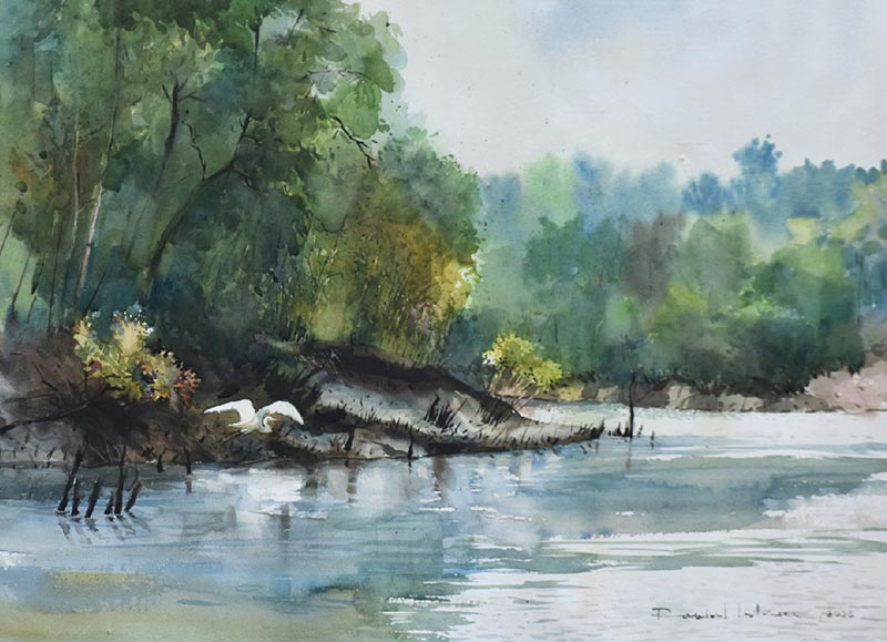 Arannyarekha-featured