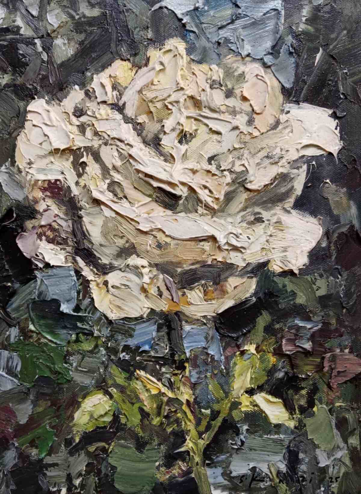 WhatsApp Image 2025-12-05 at 4.39