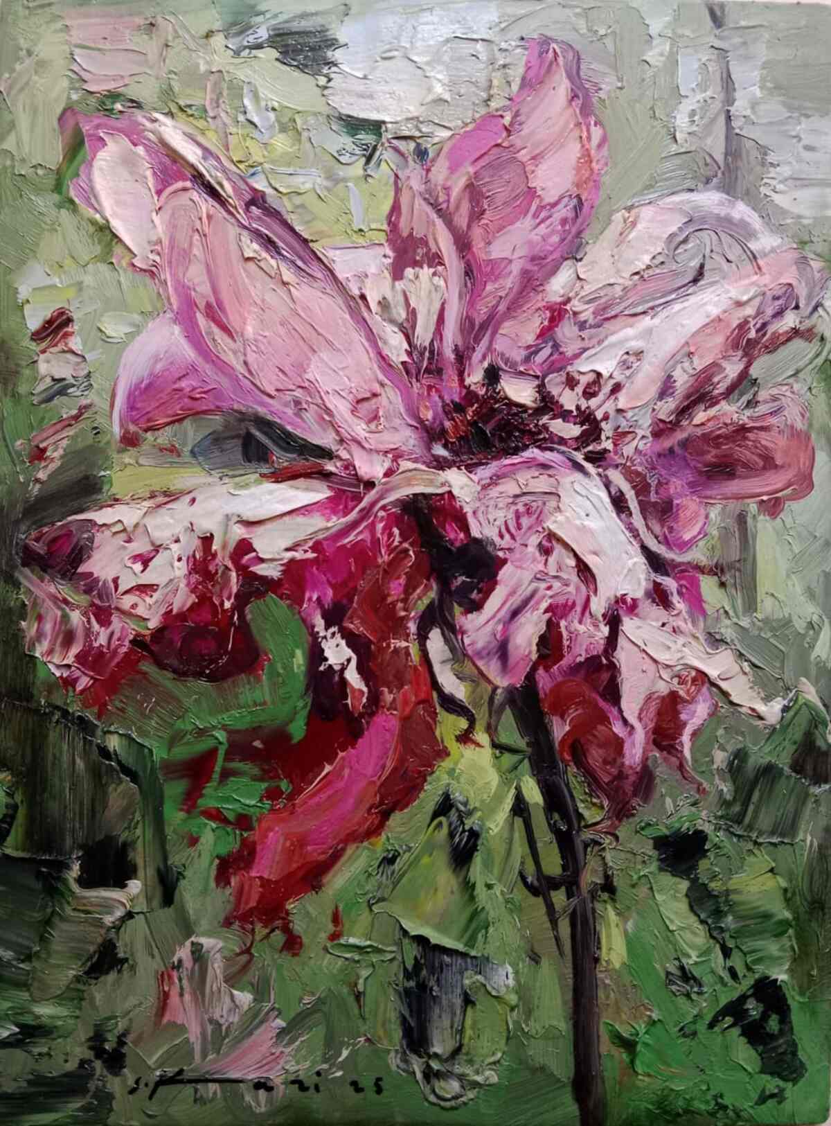 WhatsApp Image 2025-12-05 at 4.39