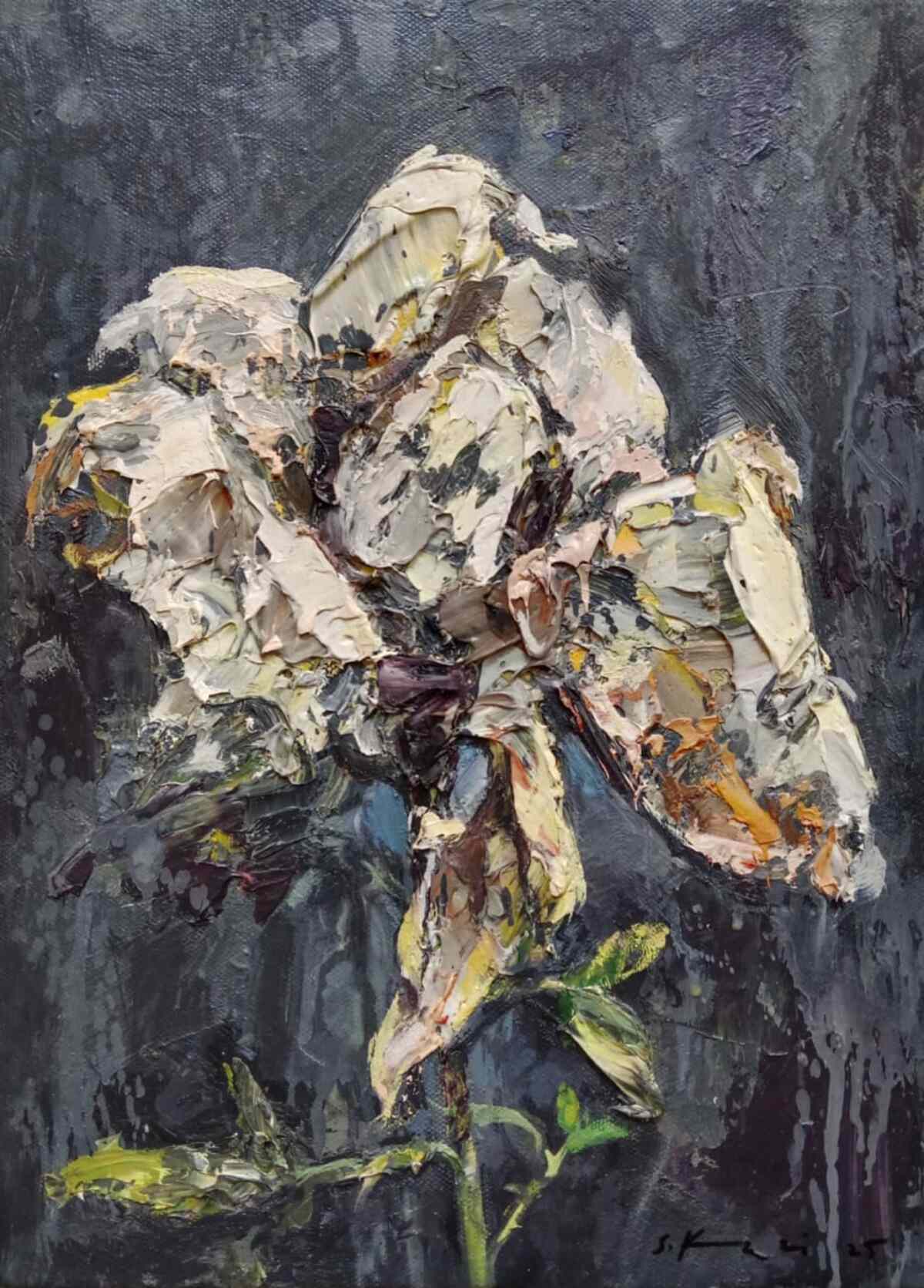 WhatsApp Image 2025-12-05 at 4.39