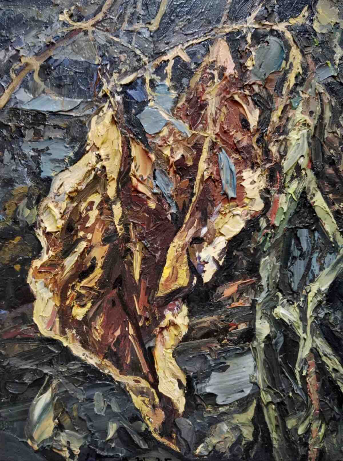 WhatsApp Image 2025-12-05 at 4.39