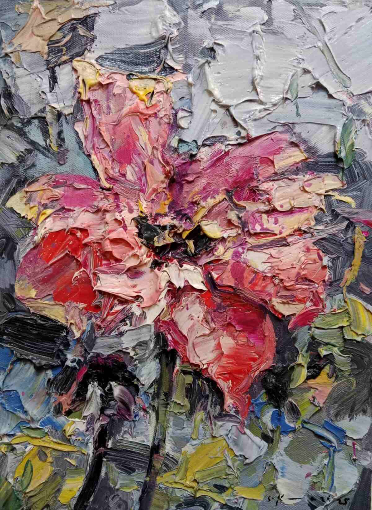 WhatsApp Image 2025-12-05 at 4.39